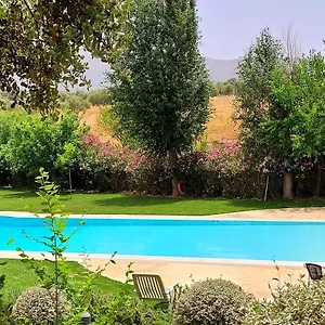 Bodega El Juncal Ronda